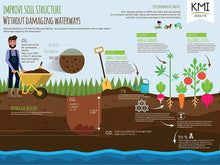 Load image into Gallery viewer, Clinoptilolite Zeolite