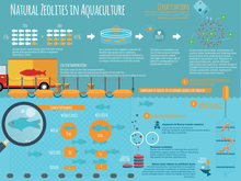 Load image into Gallery viewer, Clinoptilolite Zeolite