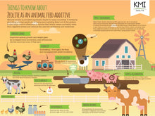 Load image into Gallery viewer, Clinoptilolite Zeolite